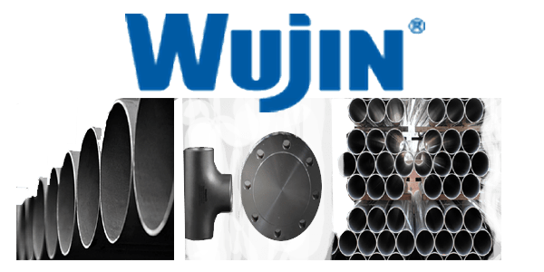 Wujin | Industrial Controls Systems, Inc.